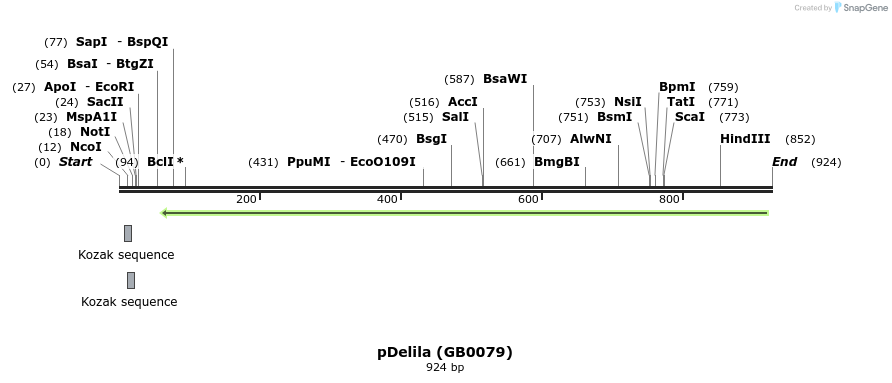 127309_map