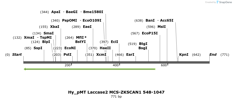 127311_map