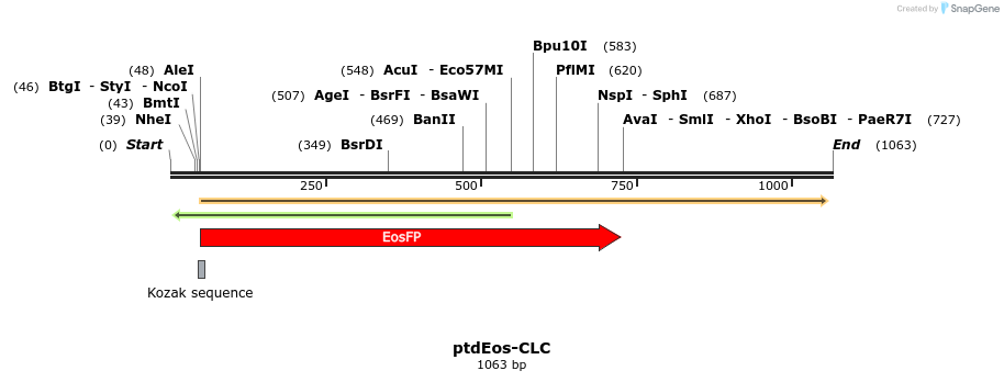 127315_map