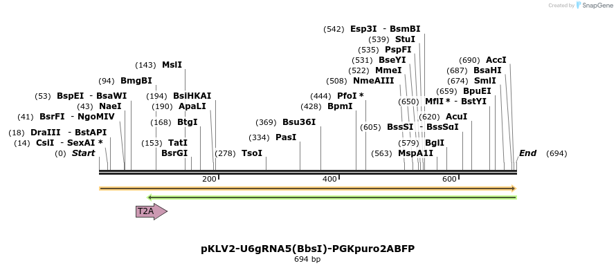 127322_map