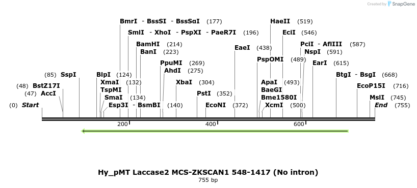 127329_map