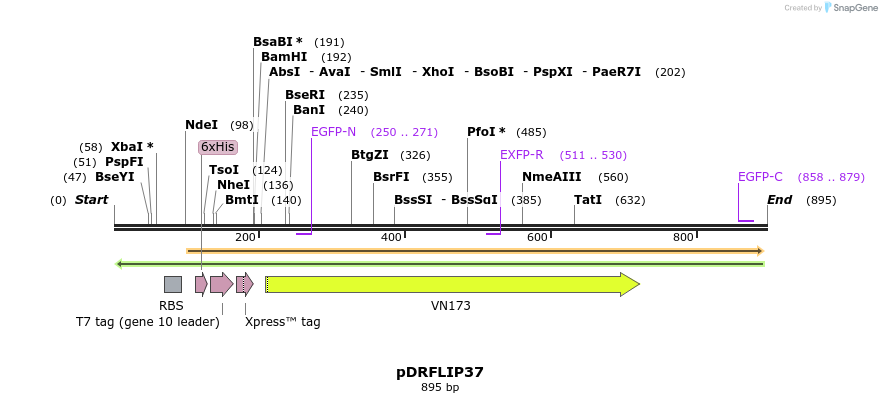 127330_map