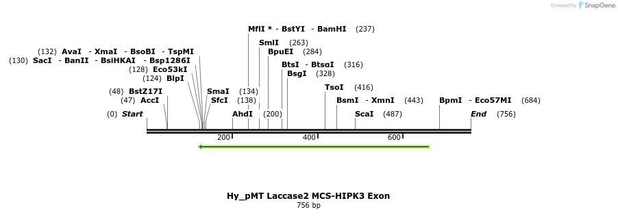 127331_map