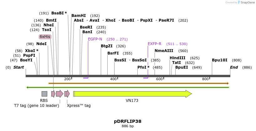 127338_map