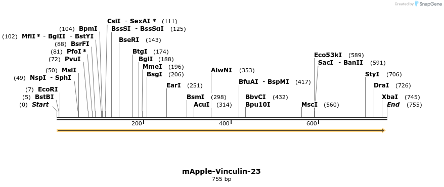 127345_map