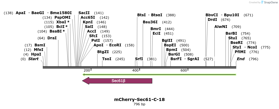 127346_map