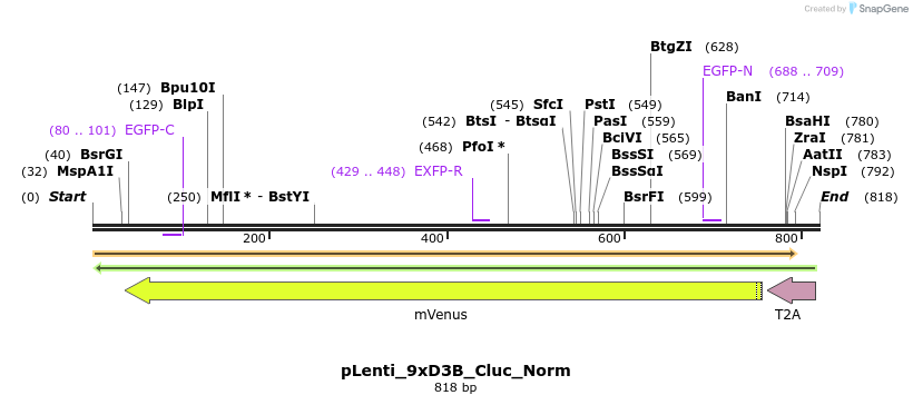 127351_map