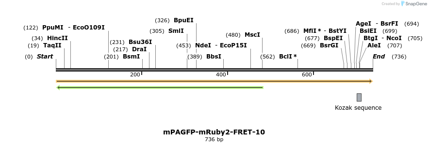 127362_map