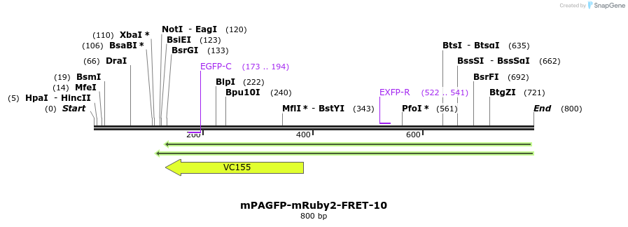 127363_map