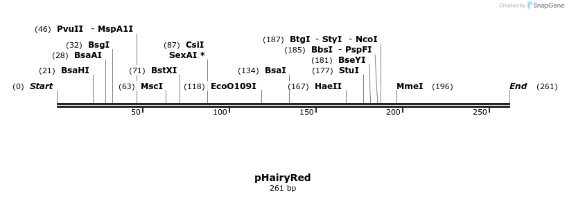 127366_map