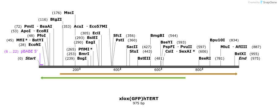 127367_map