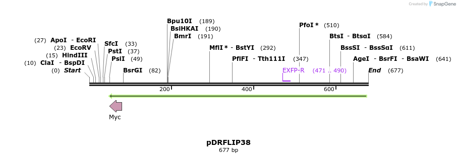 127375_map