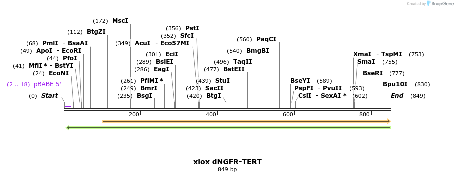 127381_map