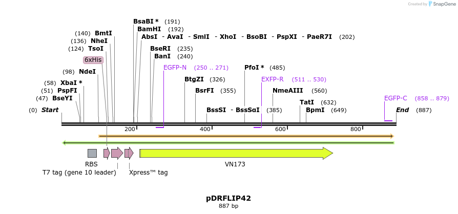 127382_map