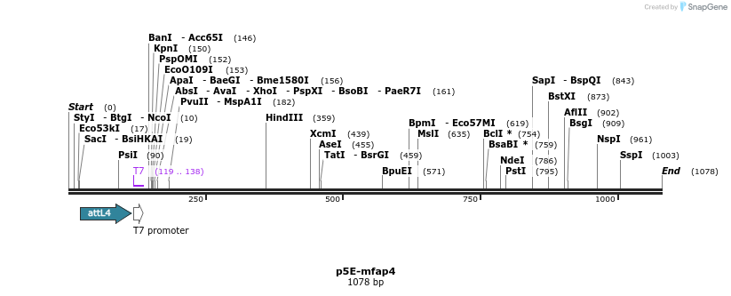 127388_map