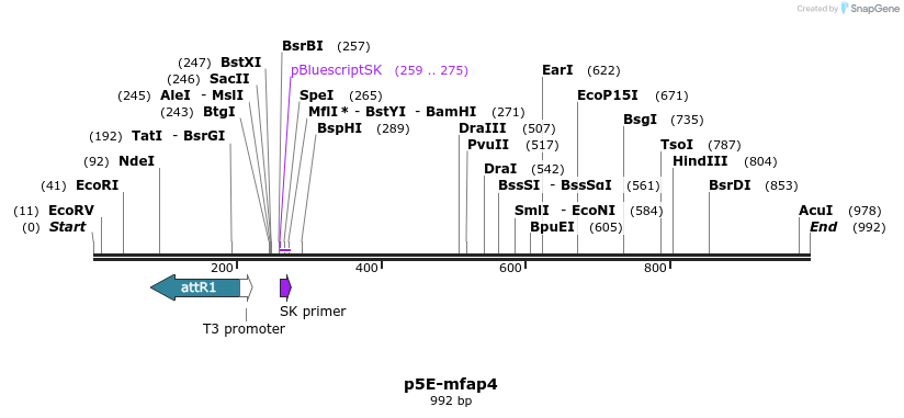 127389_map