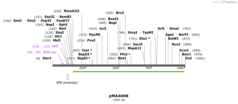127398_map