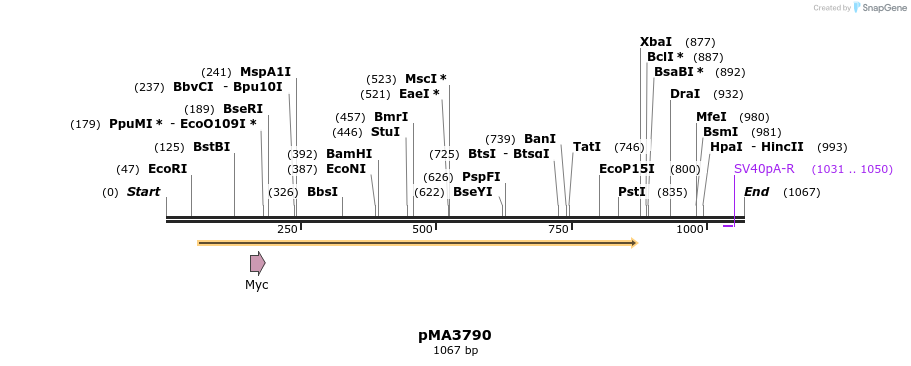 127399_map