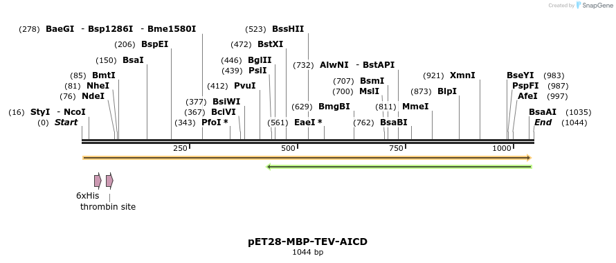 127402_map