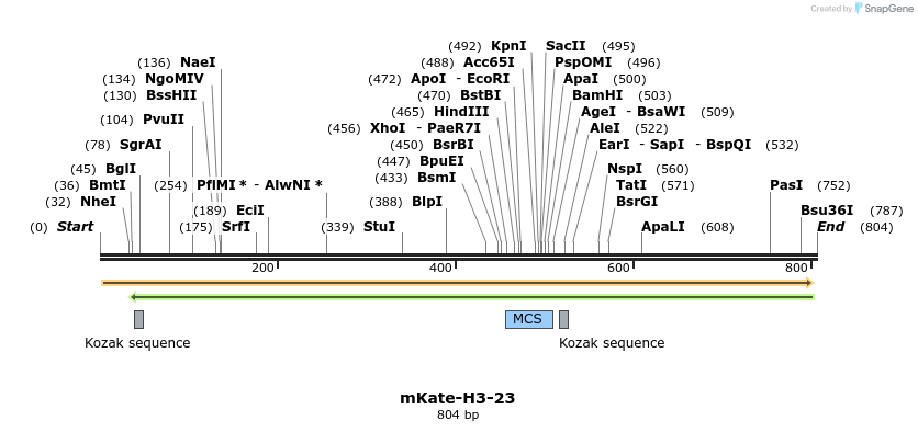 127404_map