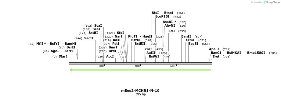 127407_map