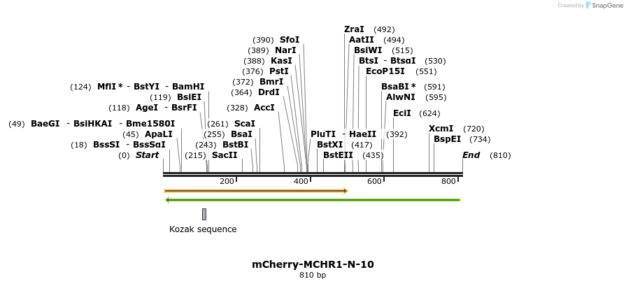 127408_map