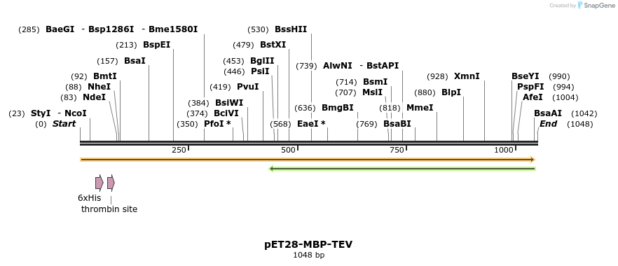 127409_map
