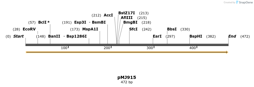 127412_map