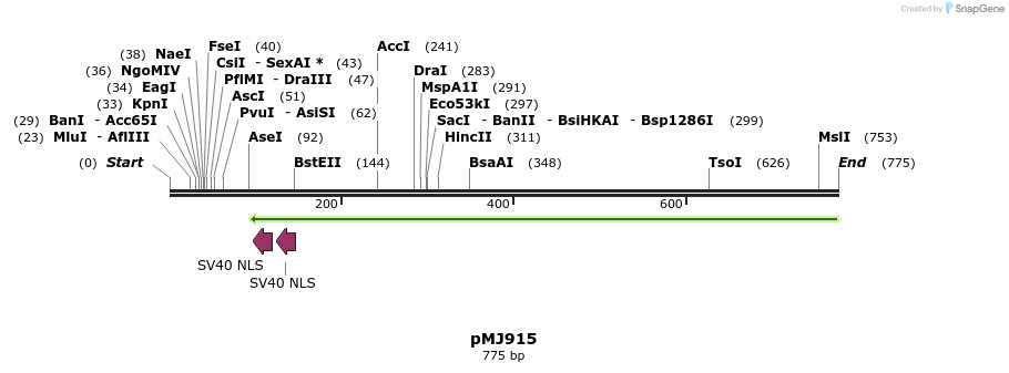 127414_map
