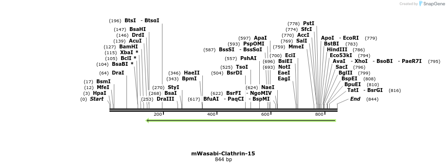 127418_map