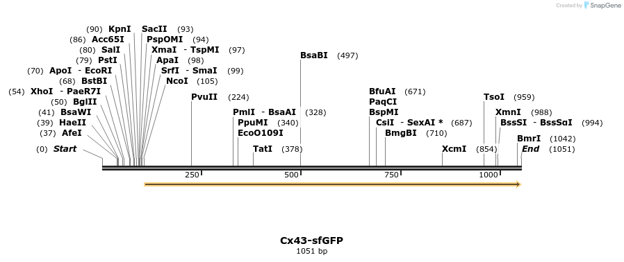 127419_map