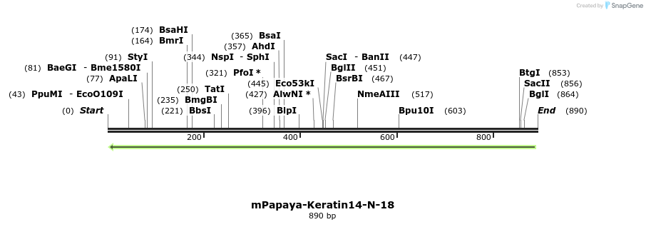 127421_map