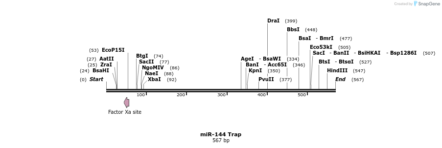 127422_map