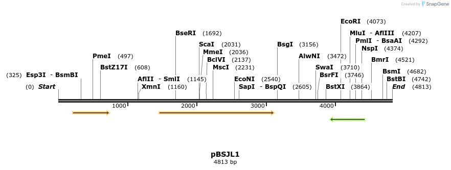 127423_map