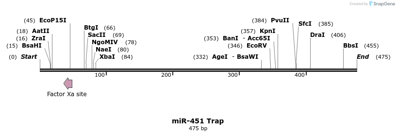 127424_map