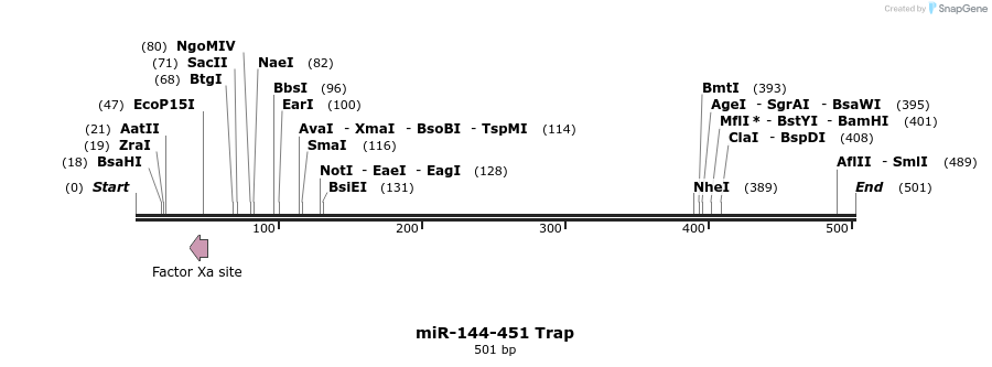 127425_map