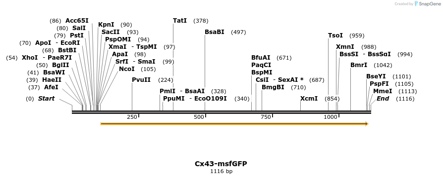 127426_map