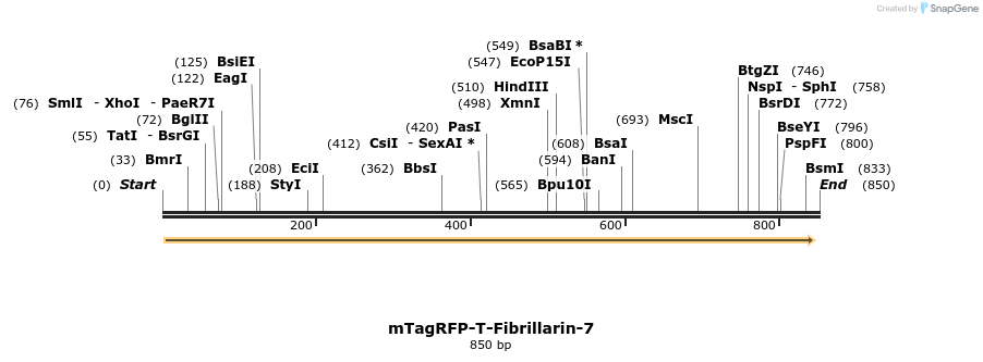 127431_map