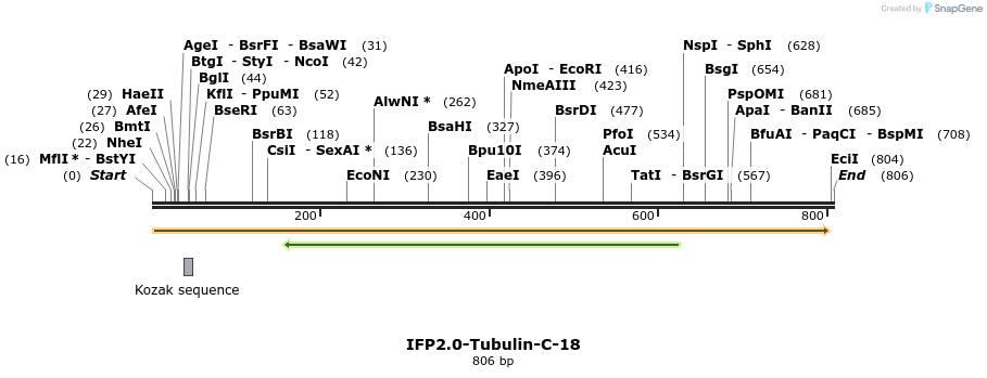 127432_map