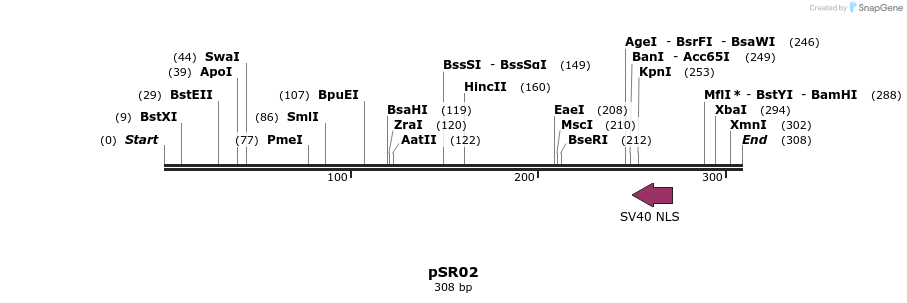 127433_map
