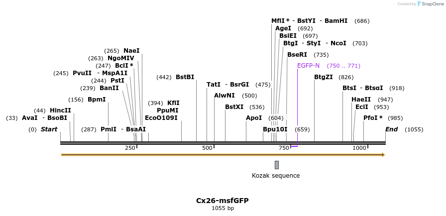 127434_map