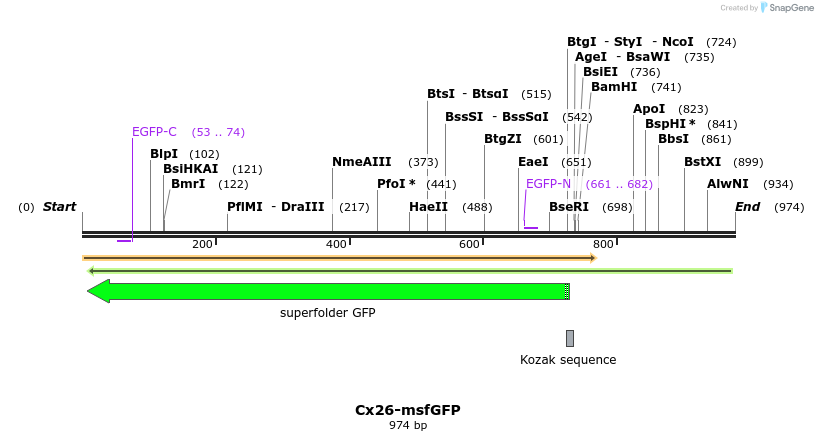 127435_map