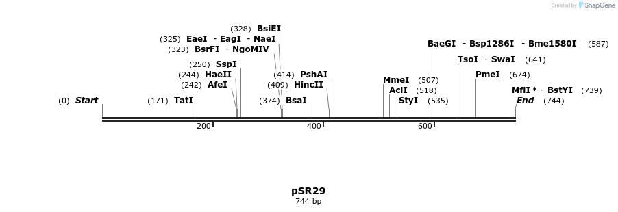 127439_map