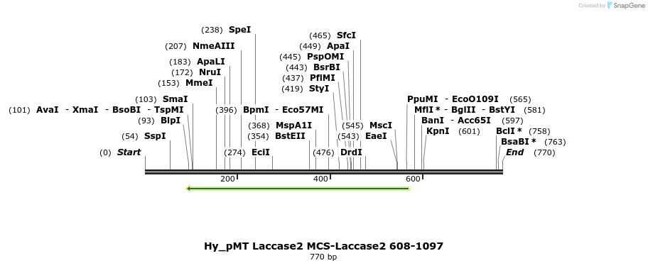 127440_map