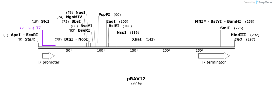127441_map