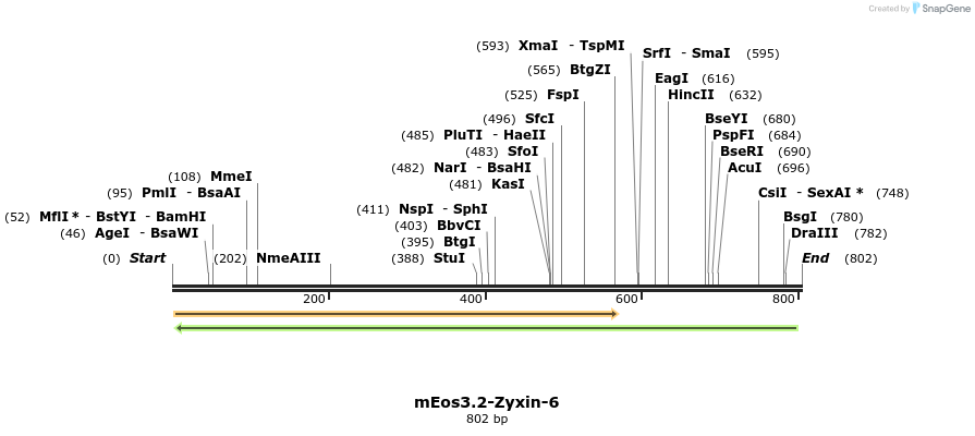 127444_map