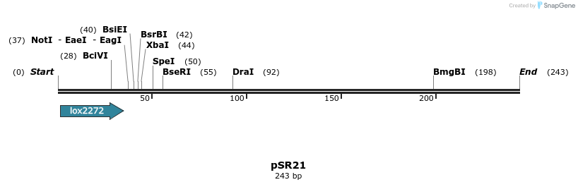127446_map