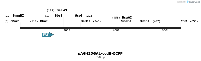 127447_map