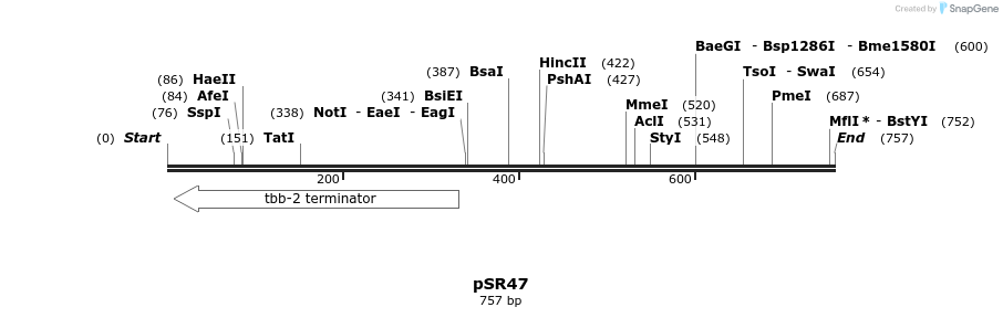 127448_map
