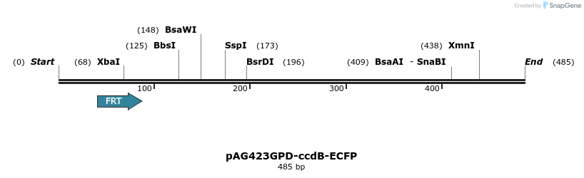 127450_map
